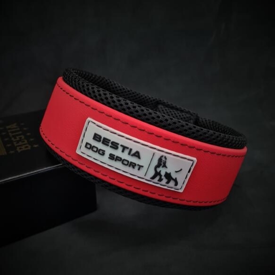 Picture of Bestia Sport Dog Red & Black Collar